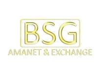 bsg_logo